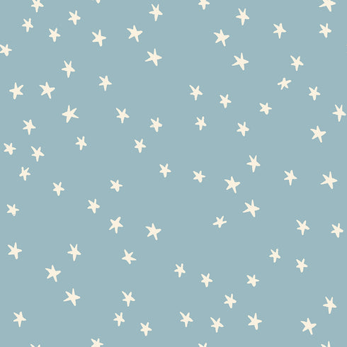Starry 2025 Soft Blue RS4109 84 - Ruby Star Society Sold by the Half Yard